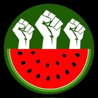 kupu_kupu profile picture