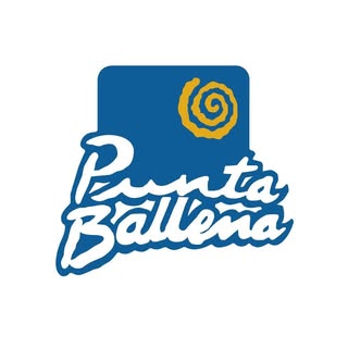 alfpuntaballena profile picture